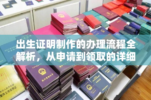 天心出生证明制作的办理流程全解析，从申请到领取的详细指南
